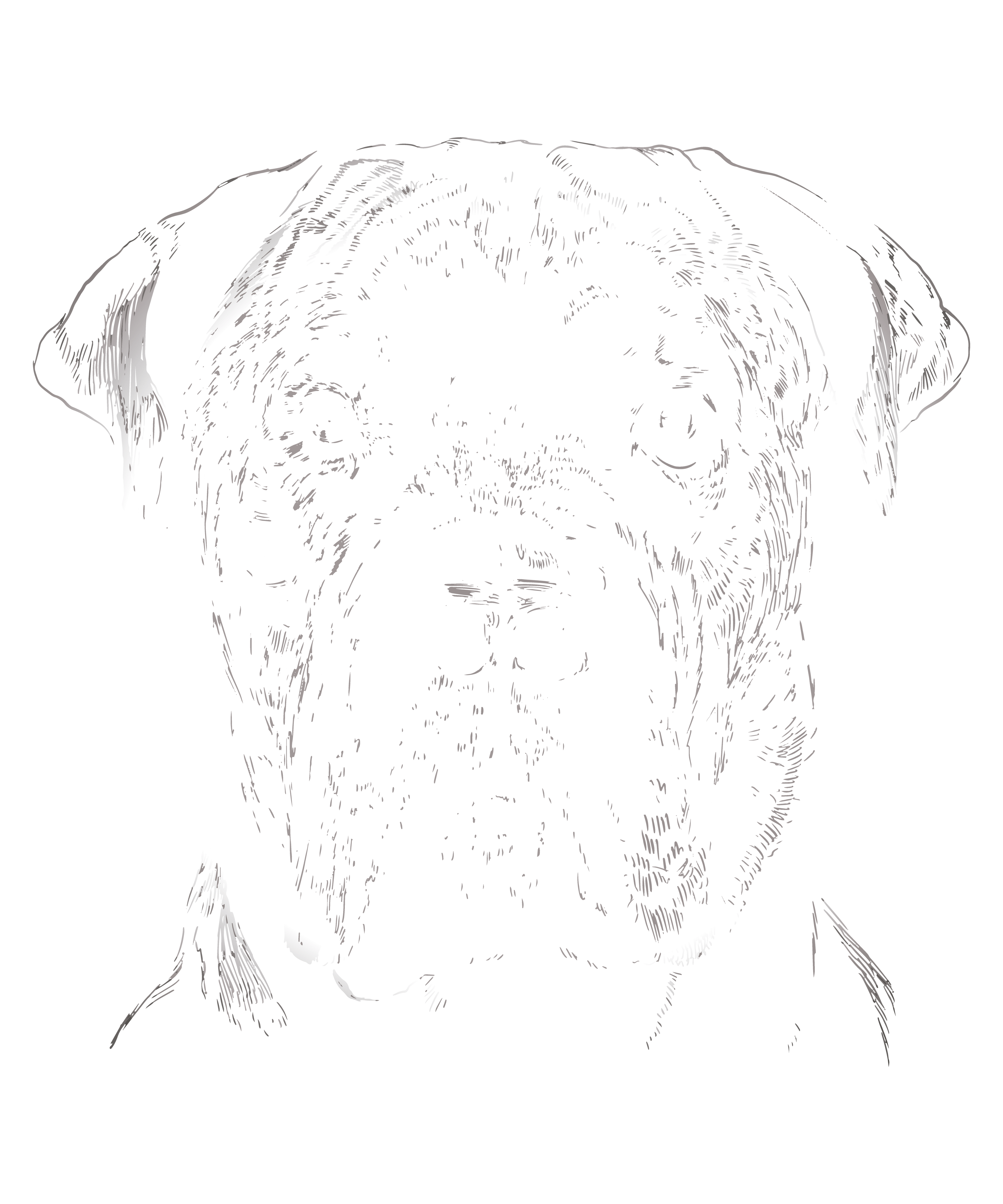 Italian Cane Graphic Tee