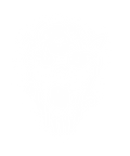 Creepy Skull Graphic Tee