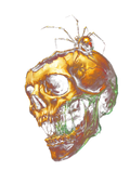 Skull graphic on the back of a black oversized tee