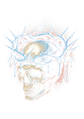 Skull graphic on the back of a black oversized tee