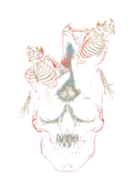 Skull graphic on the back of a black oversized tee