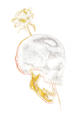 Skull graphic on the back of a black oversized tee