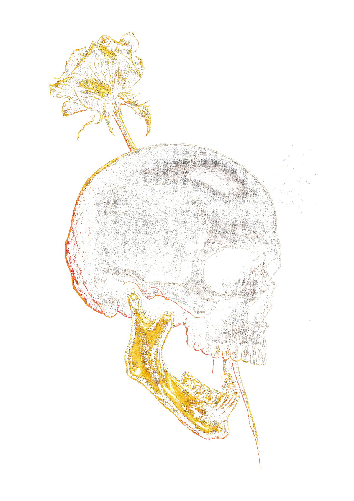 Skull graphic on the back of a black oversized tee