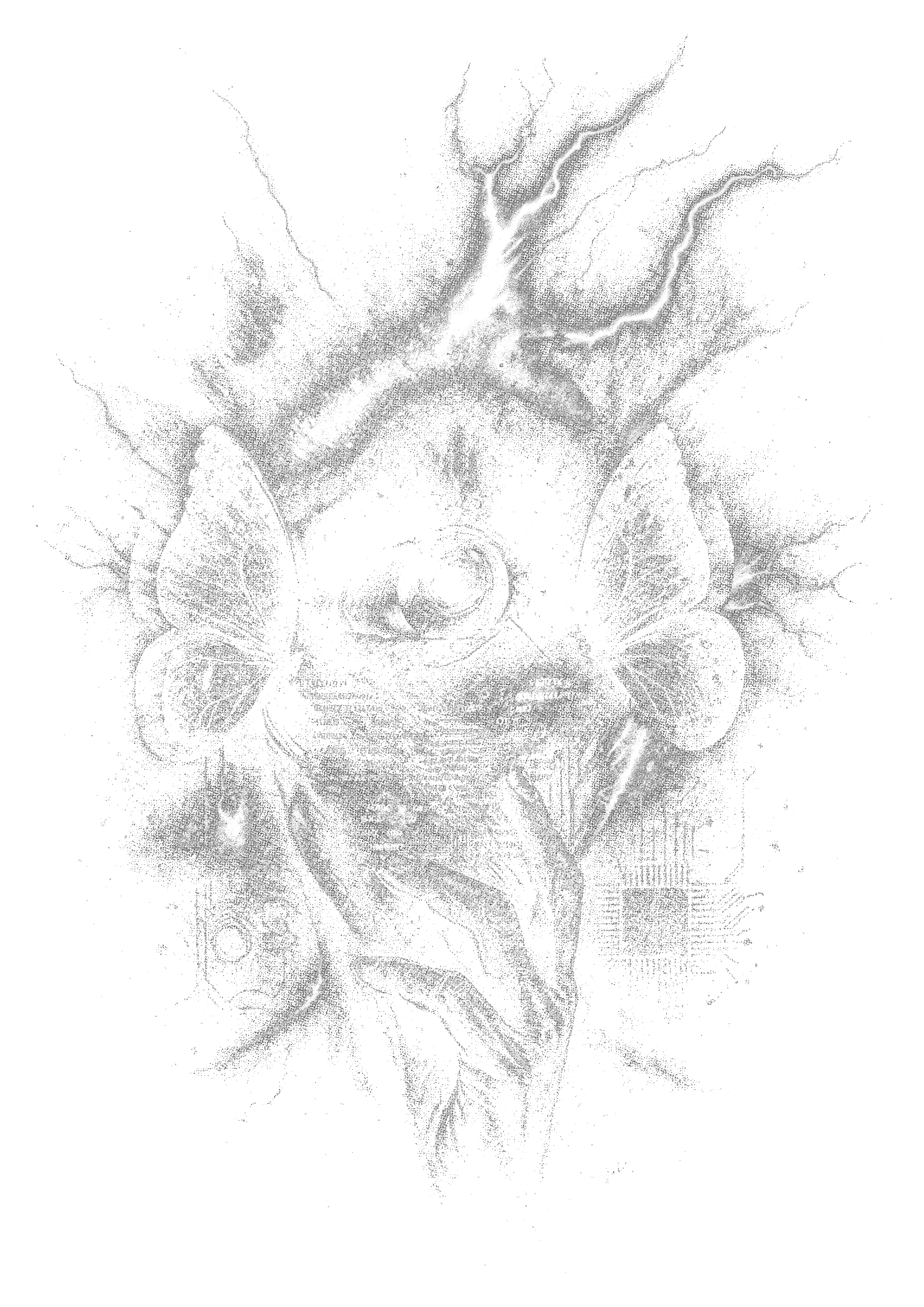 Skull graphic on the back of a black oversized tee