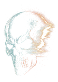 Skull graphic on the back of a black oversized tee
