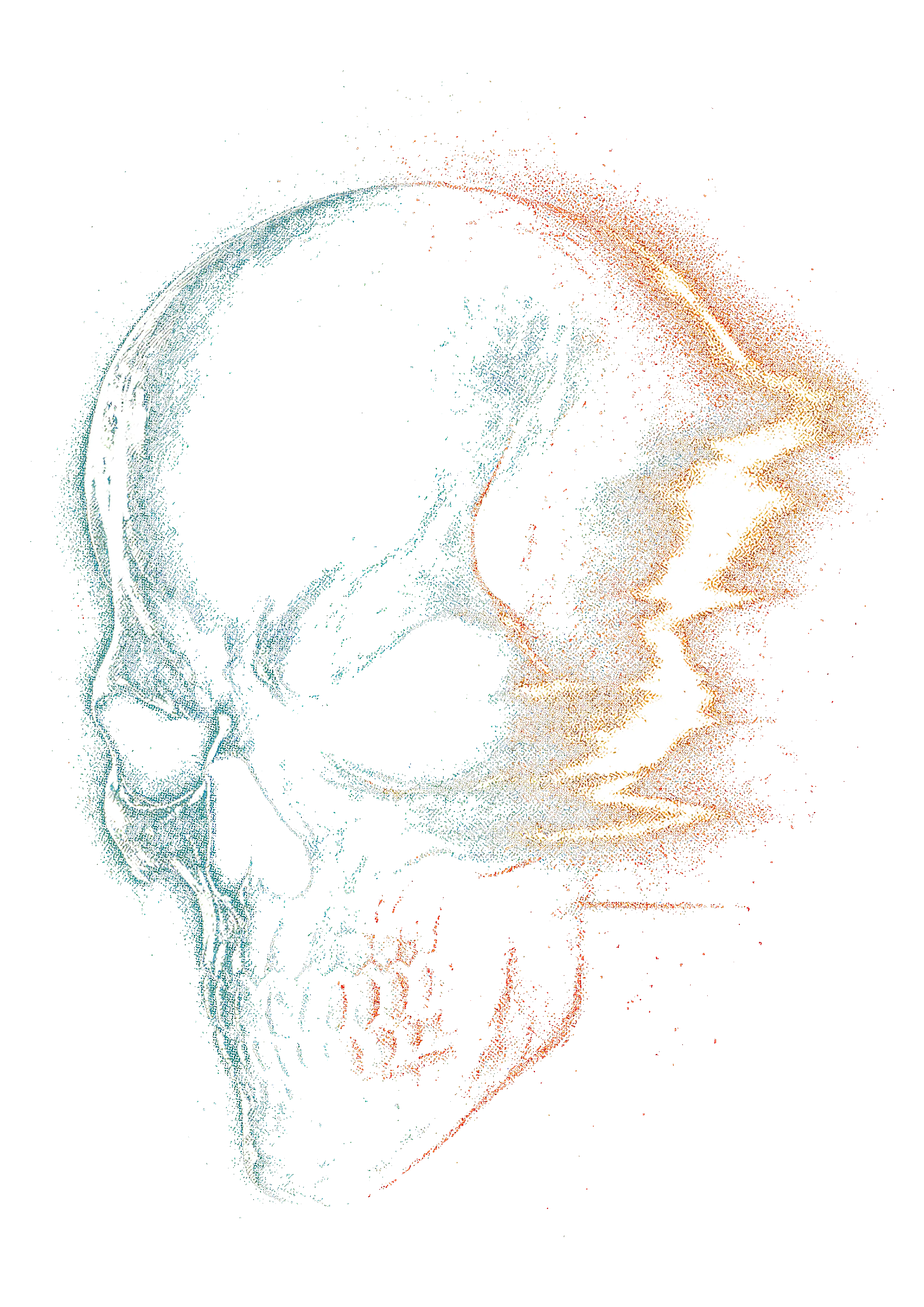 Skull graphic on the back of a black oversized tee