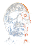 Skull graphic on the back of a black oversized tee